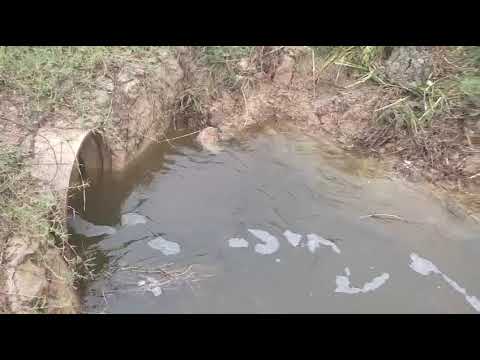 A LAGOA TRANSBORDOU EM CAPIM GROSSO CITY BA, VEJA COMO ESTÁ 