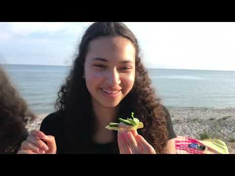 Roadtrip till Skåne 2021