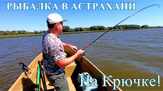 На крючке рыболовная база астрахань