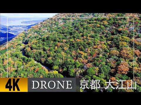 鬼伝説で有名な宮津市大江山の秋の紅葉と杉山を空撮。4K aerial view of autumn leaves and Sugiyama in Oeyama, Miyazu City Kyoto.