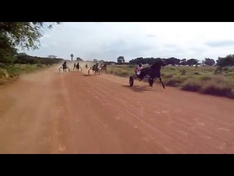 1. big red. tp 2.13,25. 2. pelezinho. 2.14.20. 3.jade. 4.misturado 5. raio. 6.valente. 7.flora.