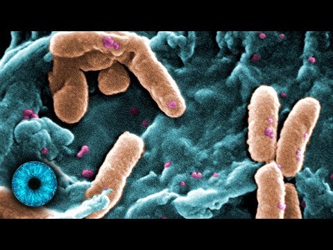 Resistente Bakterien bedrohen die Menschheit - Clixoom Science & Fiction