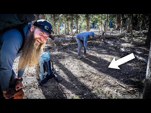 5 Tips For Finding the BEST Campsite