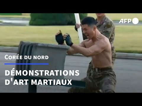 Corée du Nord : l'armée se livre à une brutale démonstration de force | AFP