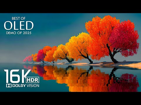 OLED TEST - Amazing 16K HDR 60 FPS Dolby Vision (16K Video)