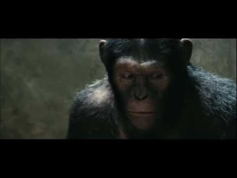 Bande-annonce 1 VOST