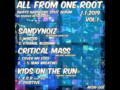 Sandynoiz/Critical mas/Kids on the run all from one root