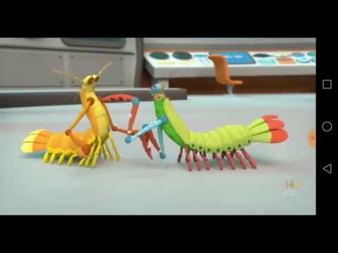 download lagu mp3 mp4 Bomber Shrimp, download lagu Bomber Shrimp gratis, unduh video klip Bomber Shrimp