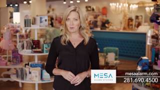 Mesa Alarm Systems - Small Business Security