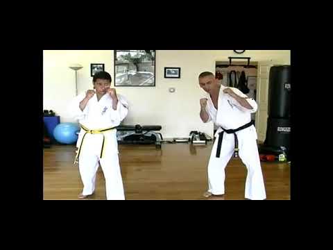 Learn Kyokushin Body Blows in Kyokushin Karate