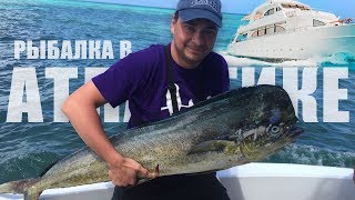 Когда начинает клевать рыба на океане