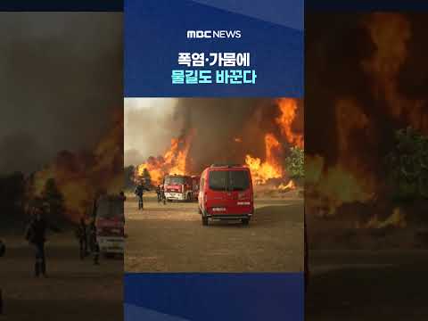 폭염·가뭄에 물길도 바꾼다.. 유럽 초비상