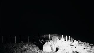 GODHUNTER & AMIGO THE DEVIL "Weeping Willow" Official Video [The Compound/Battleground]