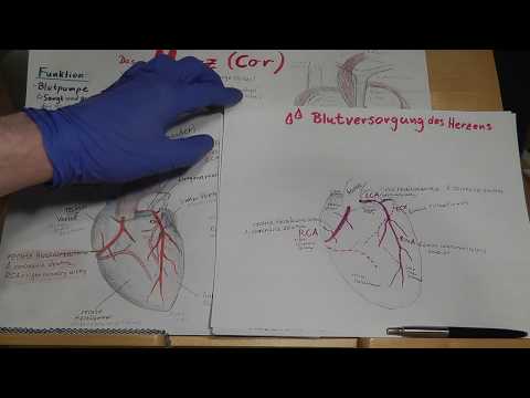 Blutegel für Hypertonie Reaktion auf die Erhöhung des Blutdrucks