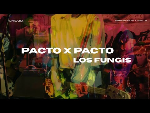 Miniatura de Video