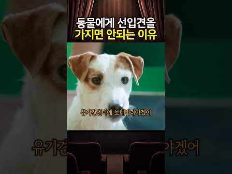 동물에게 선입견을 가지면 안되는 이유