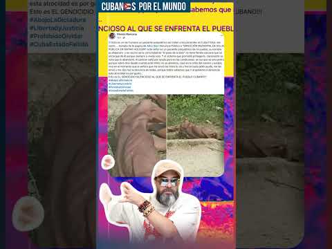 Paciente psiquiátrico aparece famélico en Mayarí, Cuba