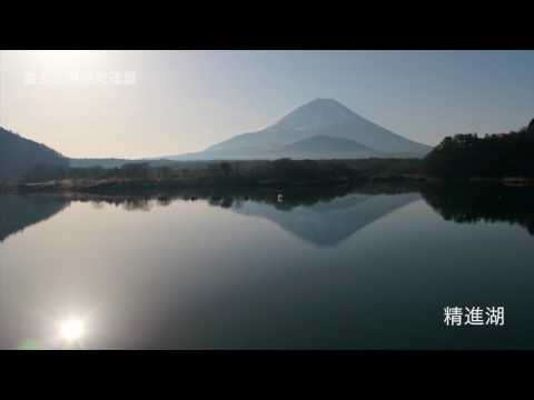 精進湖と青木ヶ原樹海