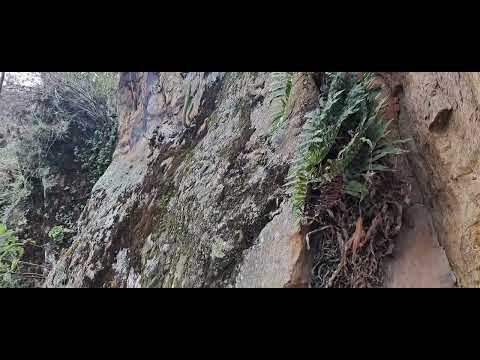 Aquiteven  :  7.886  SATIVASUR BOYACÁ 