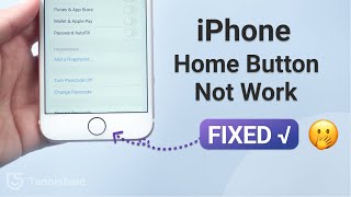 How to Fix iPhone Home Button not Working-5 Ways