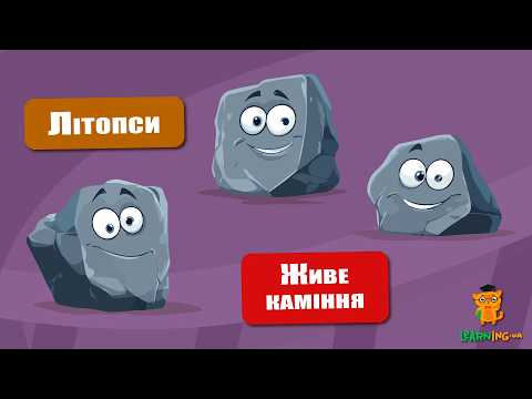 🍀 Дива природи. Явища навколо нас. Літопси 🌏