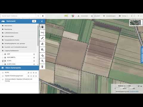 TIM-online: Program overview and basic functions