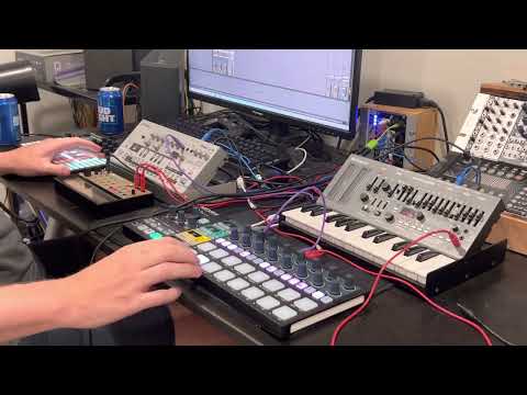 JellyAcid TB-03 + SH-01a + Polyend Play