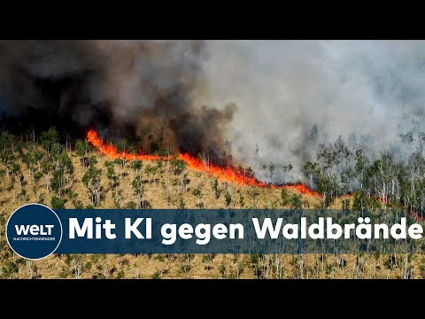 WELT THEMA: Extreme Waldbrandgefahr in Brandenburg