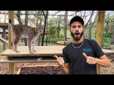 COOLEST PRIVATE ZOO IN FLORIDA! *MUST SEE*