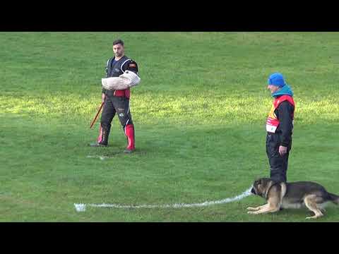 WUSV 2021 CZE 1 -  MAREK CERNY & KENDY Z KRAJE HUSITU C 94