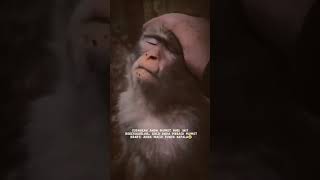 Download lagu Story WA Mumet #tiktok #story #youtube #youtubeshorts #instagram #youtuber #funny #wastapp mp3 Download lagu Story WA Mumet #tiktok #story #youtube #youtubeshorts #instagram #youtuber #funny #wastapp mp3