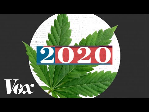 草是2020年大選的真正贏家 (Weed was the real winner of the 2020 election)