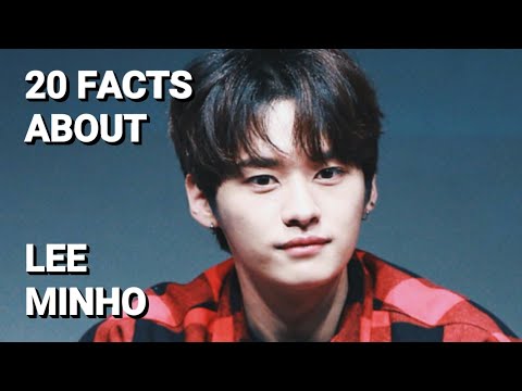 20 Facts about Stray Kids Lee Minho