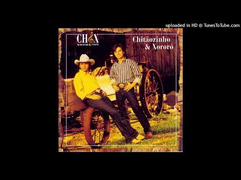 É TARDE DEMAIS PARA PEDIR PERDÃO - Chitãozinho…