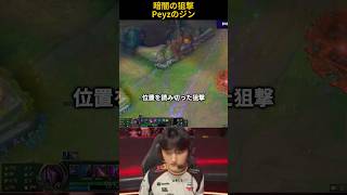 暗闇の狙撃Peyzのジン