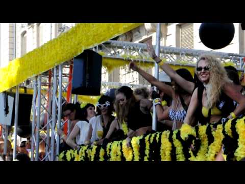 13.08.2011_Streetparade_2011_Pat_Farrell.AVI
