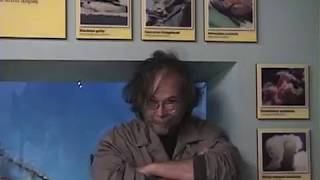 Walter Becker - Sarcastic Fringehead