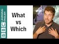 What vs Which - English In A Minute