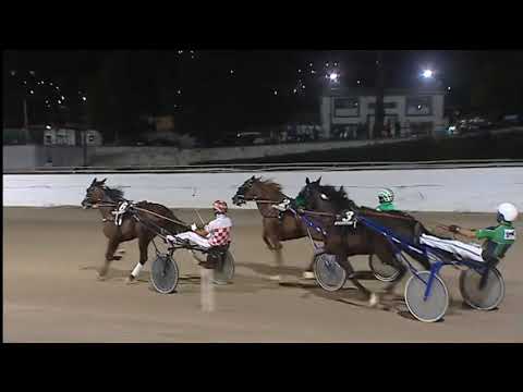 Trotto 10/07/2020 - 7ª corsa