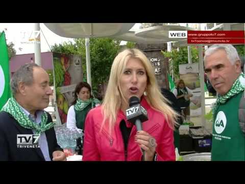 Tv7 con Voi sera del 13/10/2015 - Valorizziamo il prodotto locale (2 di 6)