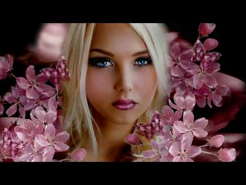 Stive Morgan - The Valley Of Dreams