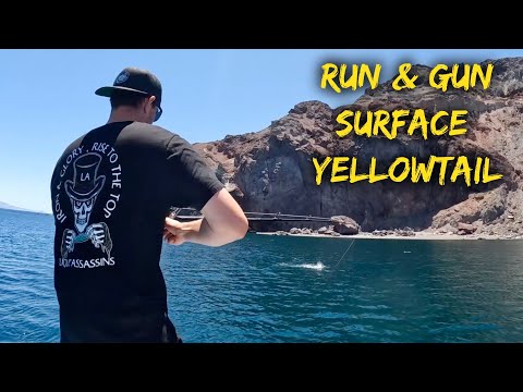 Ep. 3: Surface Iron Yellowtail // Catch & Cook