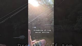 Download lagu Soooooooo Artistic #fishing mp3