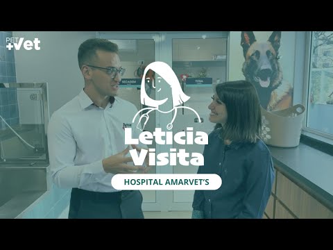 Encerrando o Ano conhecendo o Hospital Veterinário AmarVet's - Letícia Visita #6
