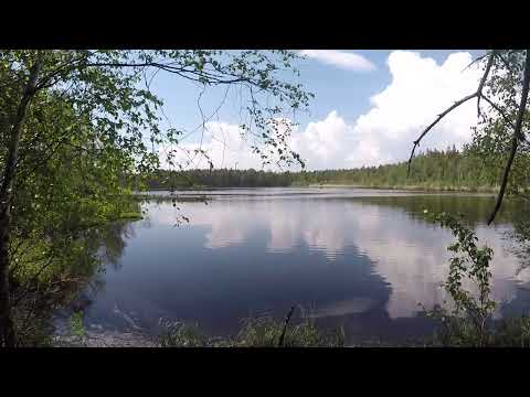 TORVTÄKT @ STORE MOSSE NATURRESERVAT - Kallinge - 190522 - GoPro 5 (RONNEBY)