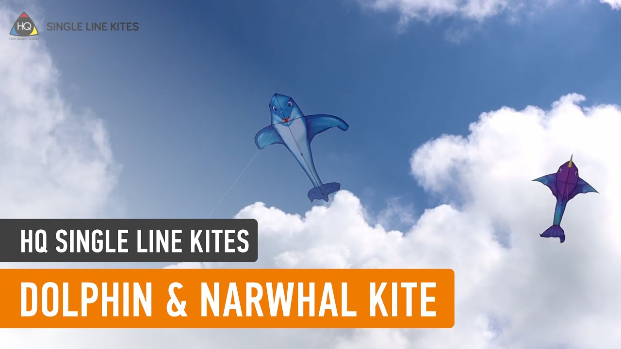 Létající drak Dolphin Kite