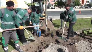 BAŞKAN ÇOLAKBAYRAKDAR “KOCASİNAN’I YEŞİLLE DONATIYORUZ, TÜRKİYE’YE ÖNCÜLÜK EDİYORUZ!”