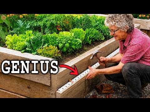 17 "Illegal" Amish Garden Tricks the Government Hopes Americans Never Remember