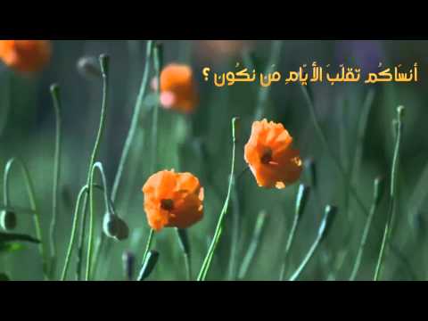 ABOMADI’s Video 58254155900 ToE3ZxHwK8M