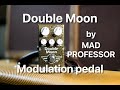 Mad Professor Double Moon
